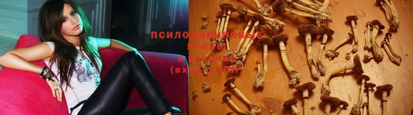 стафф Кукмор
