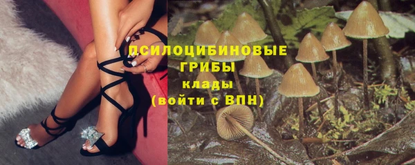 стафф Кукмор